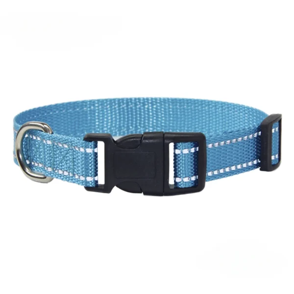 Nylon Dog Collar and Leash Set