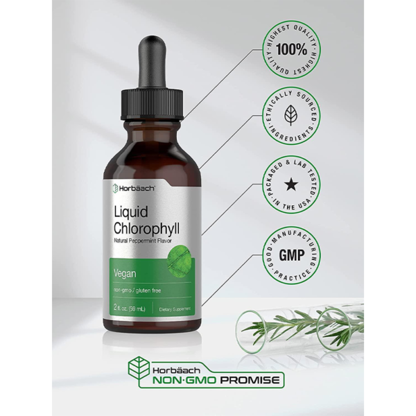 Liquid Chlorophyll Drops